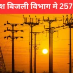 Madhya Pradesh Bijli Vibhag Bharti 2025